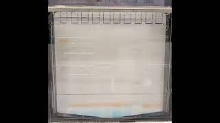 Sodium dodecylsulfate polyacrylamide gel electrophoresis SDSPAGE science biology dna protein [upl. by Krysta]