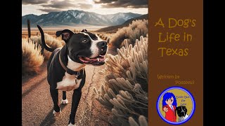 A Dogs Life in Texas [upl. by Clifford]