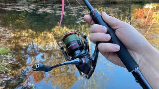 Shimano VanfordZodias First Impressions and Fishing [upl. by Sarine]