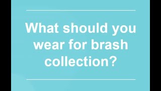 6 Brash Collection What to wear [upl. by Enortna]