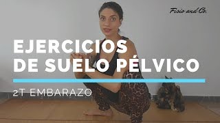 Ejercicio Suelo Pélvico en el Embarazo Segundo trimestre [upl. by Enelyw782]