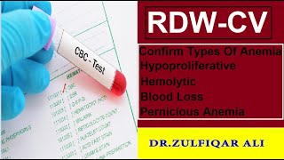 RDWCV Blood Test  Types Of Anemia  Explained in UrduHindi [upl. by Kawasaki]