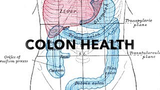 HEAL THE COLON STEP BY STEP 33  httpsdrstephenstokescom [upl. by Elok638]