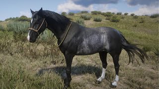 Red Dead Redemption 2  Black Rabicano Tennessee Walker [upl. by Matthieu295]