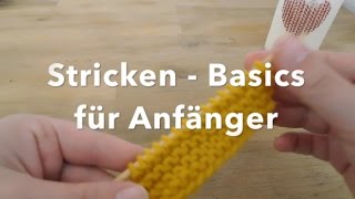 Tutorial Stricken  Basics für Anfänger [upl. by Admana]