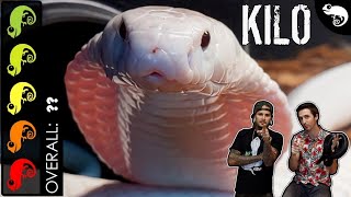 Monocled Cobra The Best Pet Snake With Tyler Nolan  I Handle A Cobra [upl. by Domenech124]