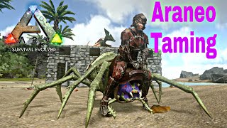 Araneo Taming in Hunter cave  Ark Mobile  Ark Taming Series [upl. by Brott]