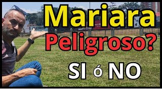 VISITEMOS a Mariara Un Municipio catalogado Peligroso en Carabobo Venezuela [upl. by Odrareve]