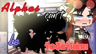 🎶《Alphas cant be together》🎶 Episode 2🏳️‍🌈Gay love story🏳️‍🌈FoursomeOriginal13Gacha Club [upl. by Adams]