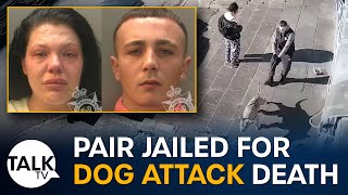 Pair jailed for Caerphilly dog attack death [upl. by Ahseniuq]