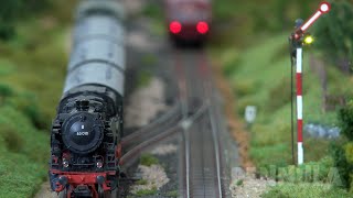 Märklin Modelleisenbahn der Eisenbahnfreunde Sinntalbahn  Eine 3LeiterSpur H0 Eisenbahnanlage [upl. by Pine]