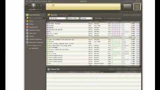 Program P2P Bearshare Tutorial [upl. by Karlis]