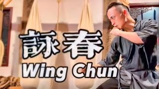 Wing Chun 3 Simple Moves Street SelfDefense Protection From Master Tu Tengyao [upl. by Netnert227]