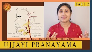 Ujjayi Pranayama  Part 2  The science behind how it influences the mind [upl. by Acnaiv]