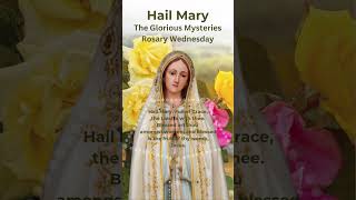 Hail Mary  Rosary Prayer  Rosary Wednesday  Glorious Mysteries  Ave Maria Piano hailmary [upl. by Rehotsirhc]