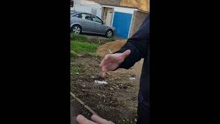 Bailiffs getting battered and owned in the uk compilation 1080p [upl. by Nela]