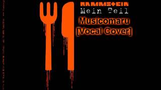 Rammstein  Mein Teil Vocal Cover [upl. by Niak]