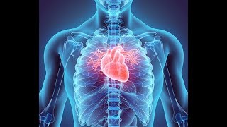 Cardiovascular System Cardiac Cycle [upl. by Siradal]