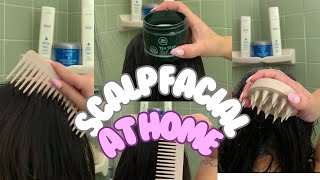 SCALP EXFOLIATION AT HOME  DO A SCALP FACIAL AT HOME  TEA TREE SCALP SCRUB [upl. by Giah573]