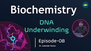 Biochemistry  Chapter Genes  DNA Underwinding  Episode08  Basic Science Series [upl. by Euh]