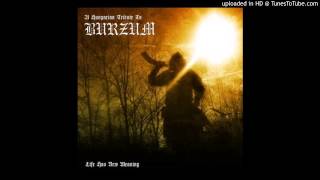 Aetherius Obscuritas  Ea Lord of the Depths Burzum cover [upl. by Anib960]