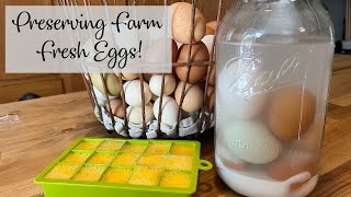 Preserving Farm Fresh Eggs [upl. by Enilrek]