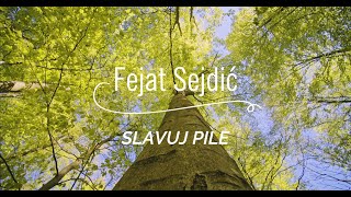 Fejat Sejdić  Slavuj pile Official video [upl. by Bogosian450]