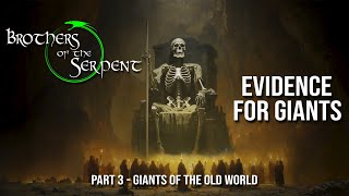 Episode 319 Evidence for Giants  Part 3 [upl. by Enelrad]