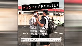 HUNDEPASS amp TANNLEGE [upl. by Naired]