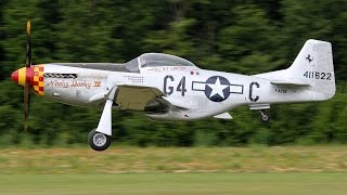 MEETING La Ferté Alais 2016  les avions dhier et daujourdhui [upl. by Eerehs]