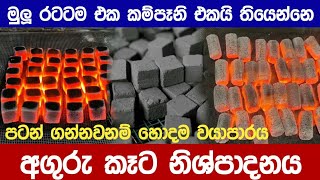 අගුරු කෑට හදලා දවසට 17000 ක් හොයන විදිහ How to Earn Money Making Charcoal Qube  Aguru Keta [upl. by Slavin]