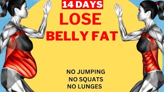 LOSE BELLY FAT In 14 Days 30 Min Standing Abs Workout  No Squat No Lunge No Jumping [upl. by Formica]