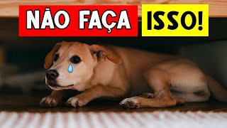 ESSES 10 erros podem ACABAR com a VIDA do seu cachorro – Saiba como evitálos 🔥 [upl. by Na]