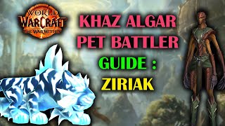 Khaz Algar Family Battler  Ziriak  Guide  The War Within Preseason 1102 [upl. by Ntsuj557]