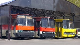 Икарус 256 по цене металлолома  забрали комплектный автобус Ikarus 256 изпод пресса [upl. by Yeruoc]