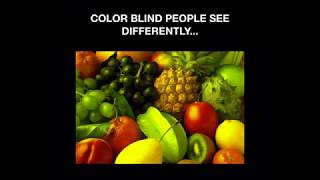 How Color Blind People See the World [upl. by Flore758]