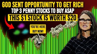 According To Billionaires Formula Top 3 Penny Stocks To Buy Now To 20x Your Wealth Next Year [upl. by Eicrad937]