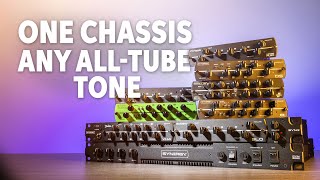 Synergy Preamp Modules Customizable Tube Tones for Any Sound [upl. by Osbourn]