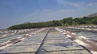 arriving at the salt flats in Manzanillo Mexico April 2nd 2024 [upl. by Emarie]