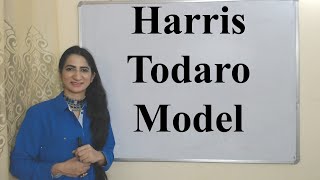 Harris Todaro Model [upl. by Lizzy]