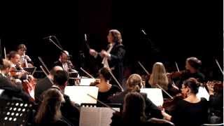 Beethoven Symphony 7 Scherzo Presto 3rd mvt [upl. by Leela]