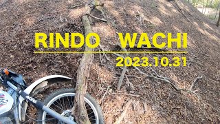 ROINDO WACHI 2023 10 31 [upl. by Noryahs]