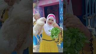 Muslim style green chicken recipe recipe cooking shorts 🍓🍓🍓 [upl. by Assetnoc125]