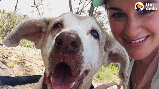 Dog Who Spent 7 Years In The Shelter Is SO Happy To Have A Family  The Dodo Faith  Restored [upl. by Anialeh]