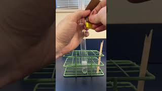 When HCl and Mg are mixed H gas is released 🤓 chemistry science experiment education [upl. by Creedon]