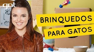 Dicas de brinquedos para gatos fáceis de fazer  Faça Você Mesmo  Thalita Carvalho [upl. by Ellyn]