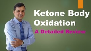 Ketolysis Pathway Ketone Bodies Oxidation [upl. by Marchall]