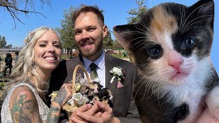 The Cutest Surprise at Our AnimalFriendly Wedding [upl. by Naivaf]