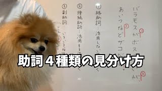 【付属語】助詞4種類の見分け方【国文法】 [upl. by Korff]