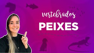 CORDADOS E PEIXES  ZOOLOGIA I Prof Louise Medeiros [upl. by Faxun]